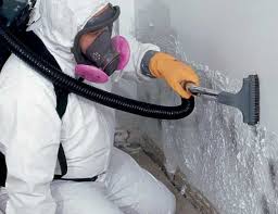 Why You Should Choose Our Mold Remediation Services in Gervais, OR